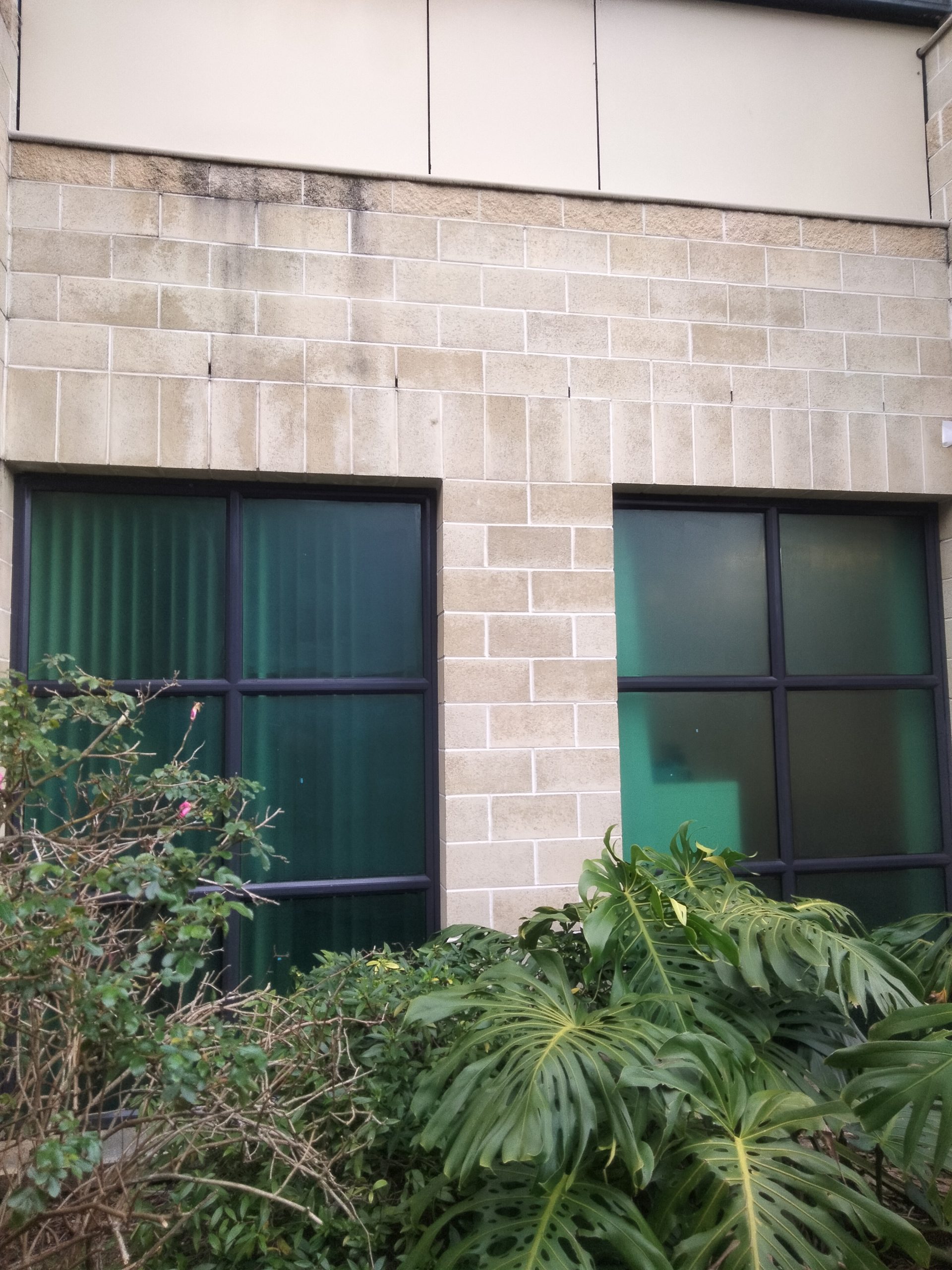 Window Protection Film Green - Image 3