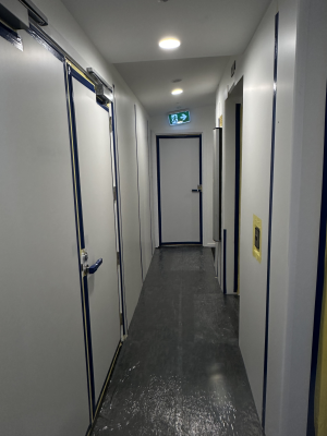 Ultimate Carpet Film - Image 5