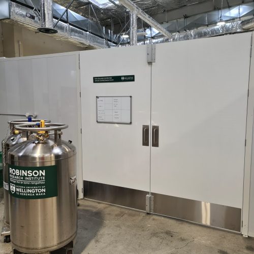 Clean Room with Custom Doors