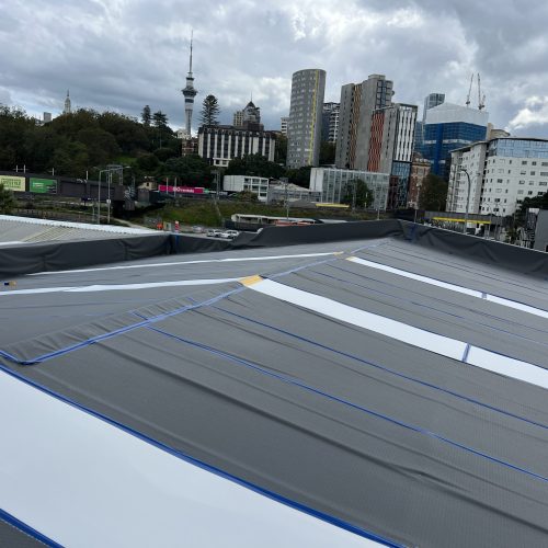 Recycled Rubber Roof Protection
