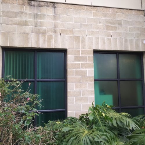 Window / Glass Protection Solutions