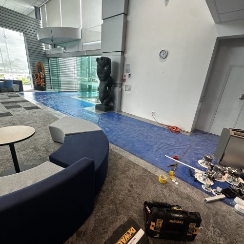 Carpet Protection Solutions