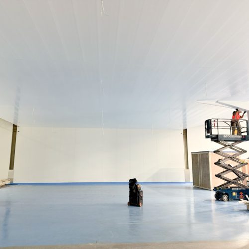 Alternative view of Hygiene Clad