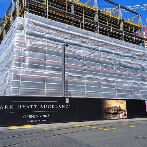 Scaffold Protection